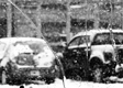 Winter Parking snow-439779_1280 - Pixabay.jpg